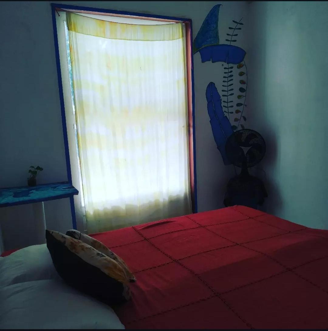 بيت شباب Casinha Blue Pipa Praia de Pipa المظهر الخارجي الصورة